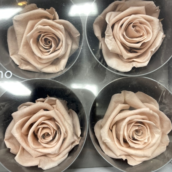 Happy Mother's Day - Picture 4 of 8